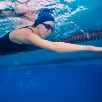 Harvard indica os 5 melhores exerccios para o corpo